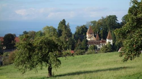 Schloss Munchenwiler meadow